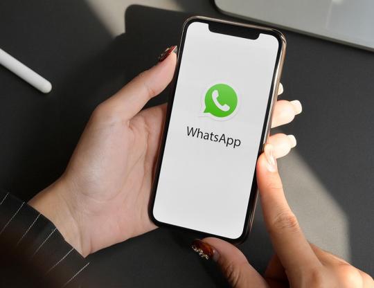 Participe da comunidade da Avec no WhatsApp